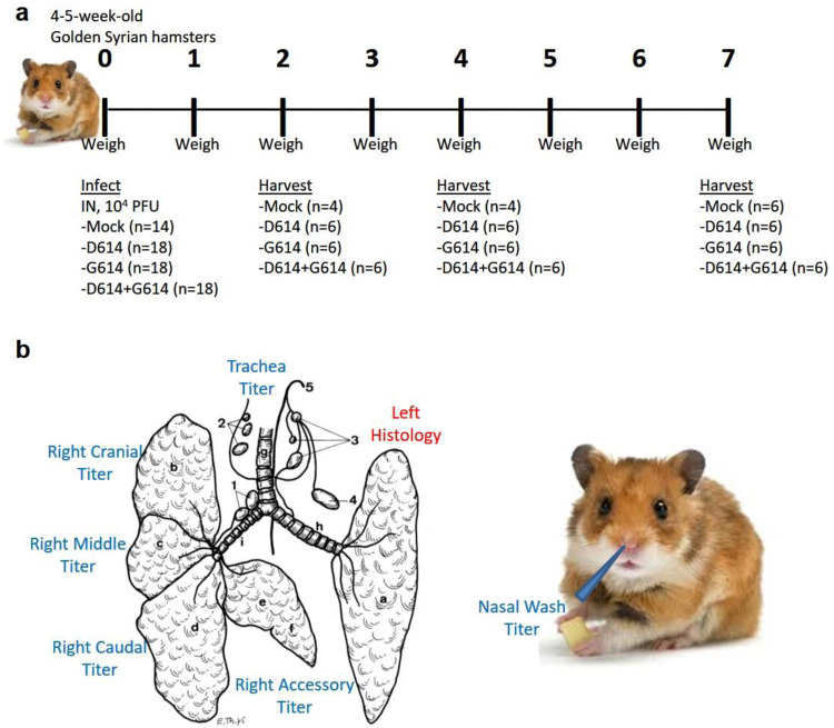 Extended Data Figure 1.