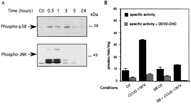 FIG. 8