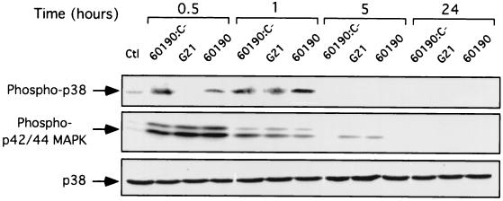 FIG. 7