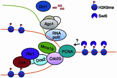 Figure 2