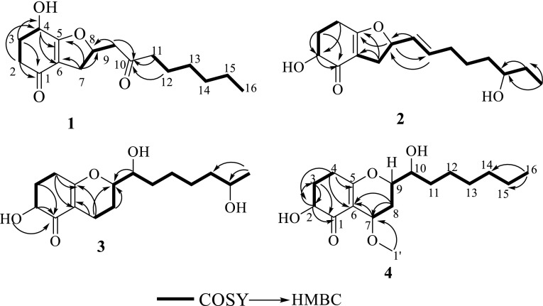 Fig. 2