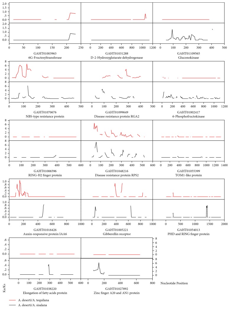 Figure 6