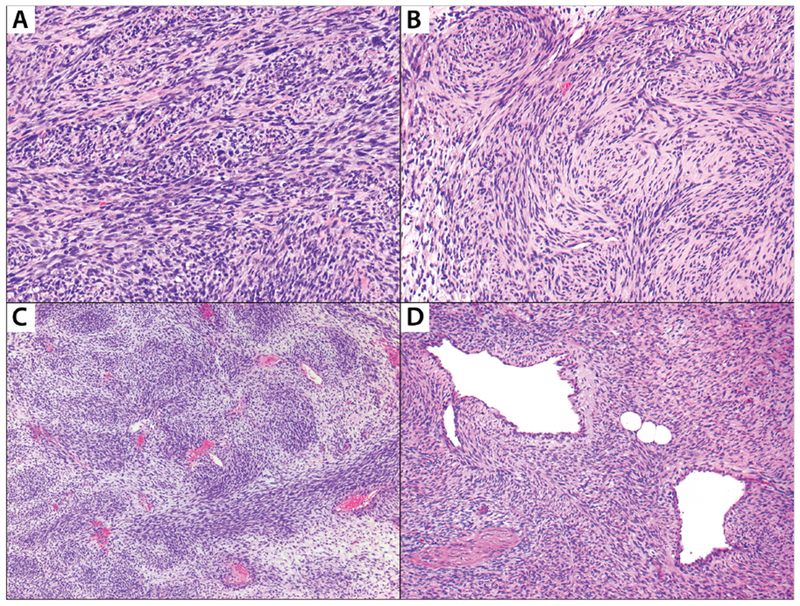 FIGURE 2: