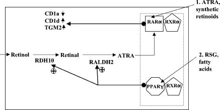 Figure 8.