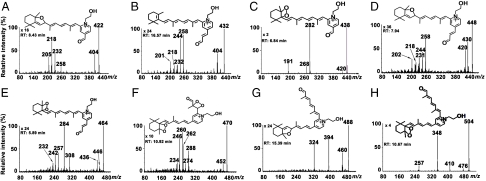 Fig. 4.