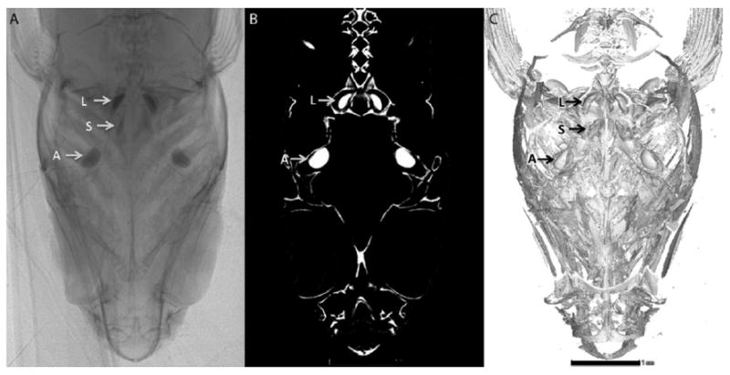 Figure 2