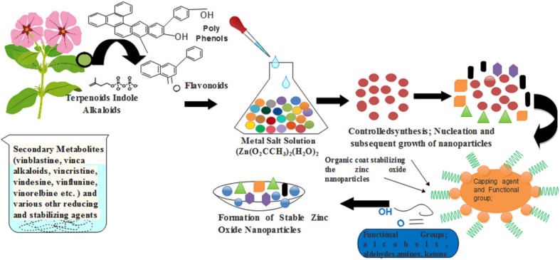 FIGURE 12