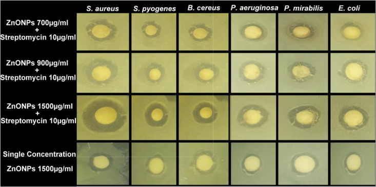 FIGURE 11