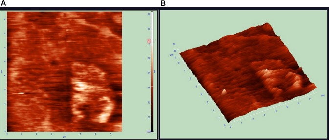 FIGURE 6