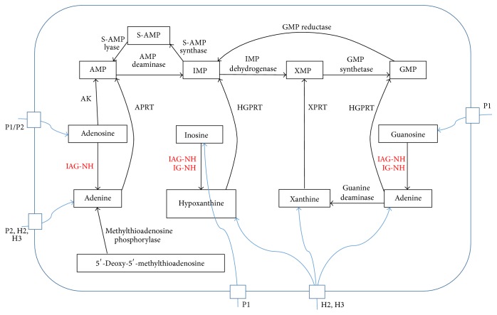 Figure 1