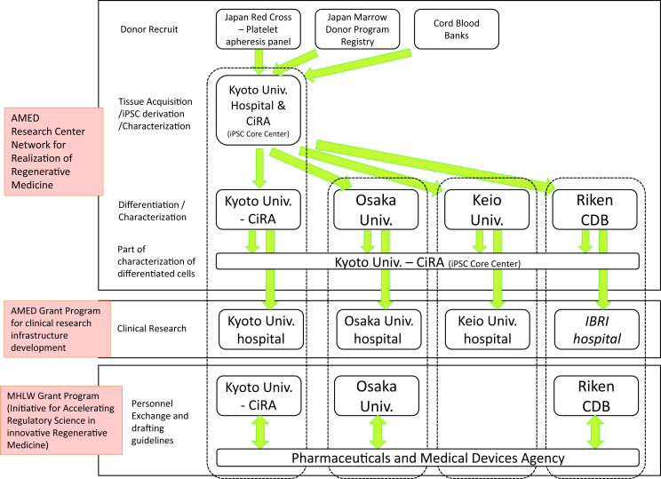 Fig. 2