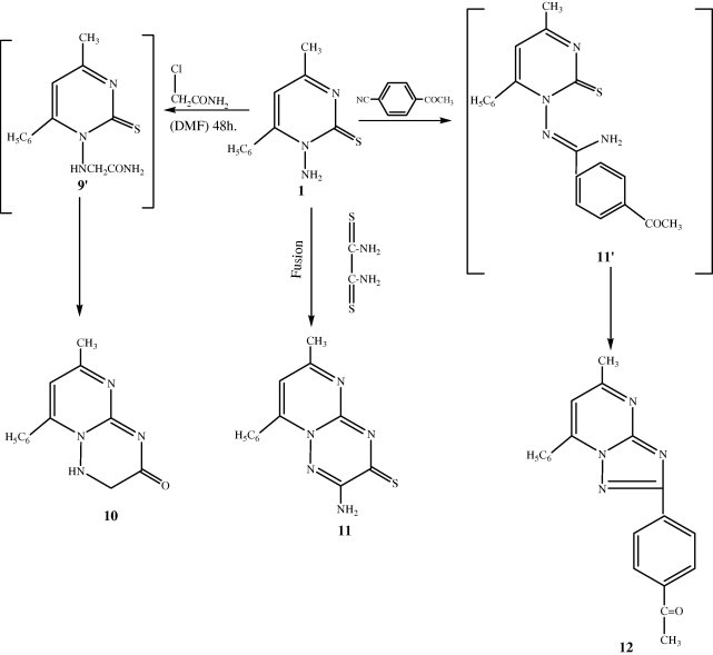 Scheme 2