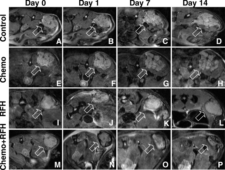 Figure 3: