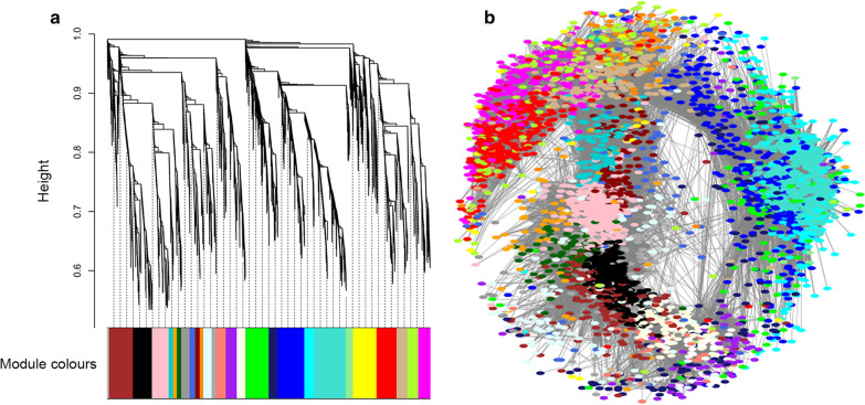 Fig. 2