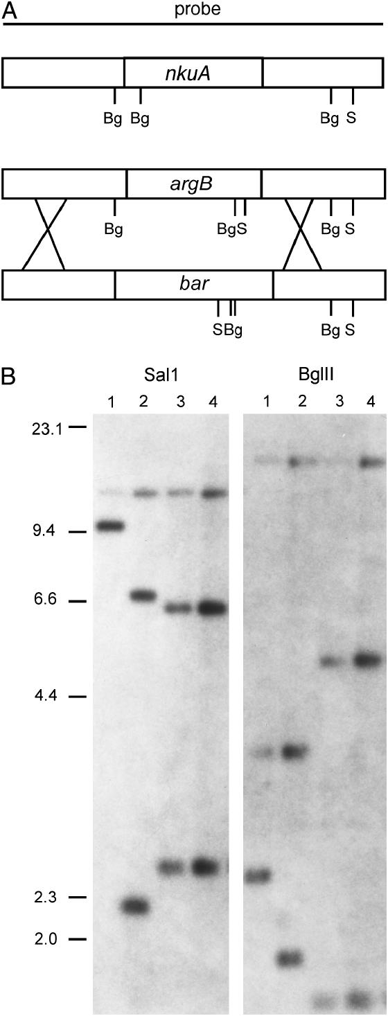 Figure 5.