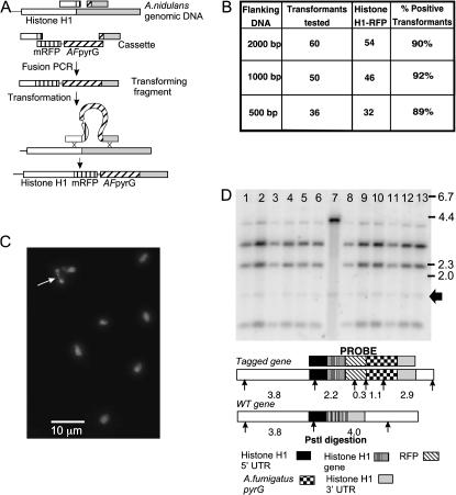 Figure 2.