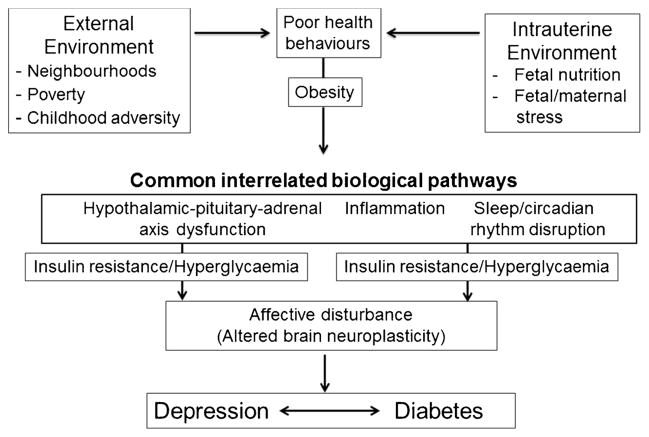 Diabetes and Depression - PMC