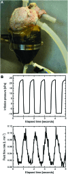 <b>FIG. 6.</b>