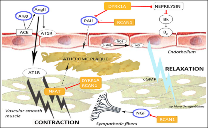 FIGURE 2