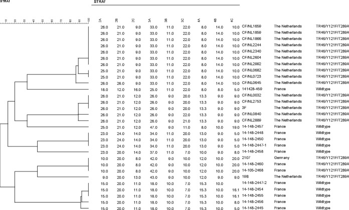 FIG 2