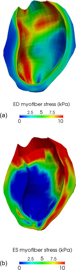 Fig. 7