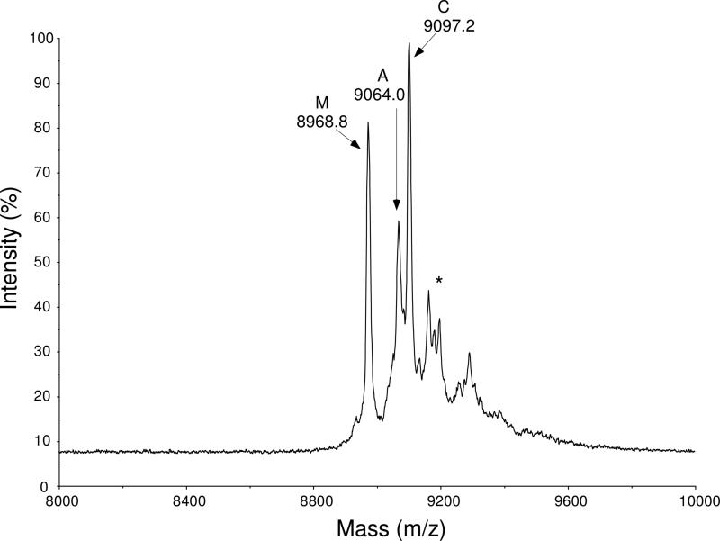 FIGURE 3