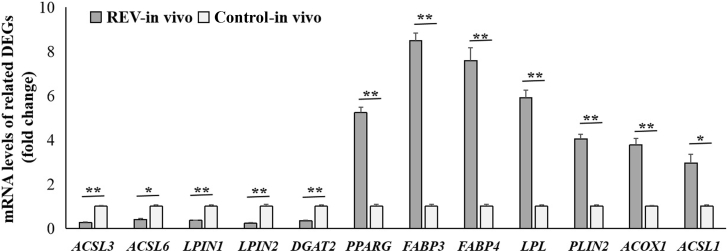 Figure 5