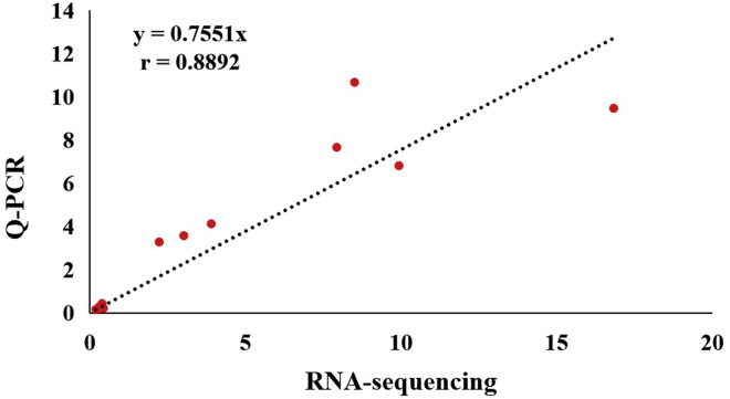 Figure 4