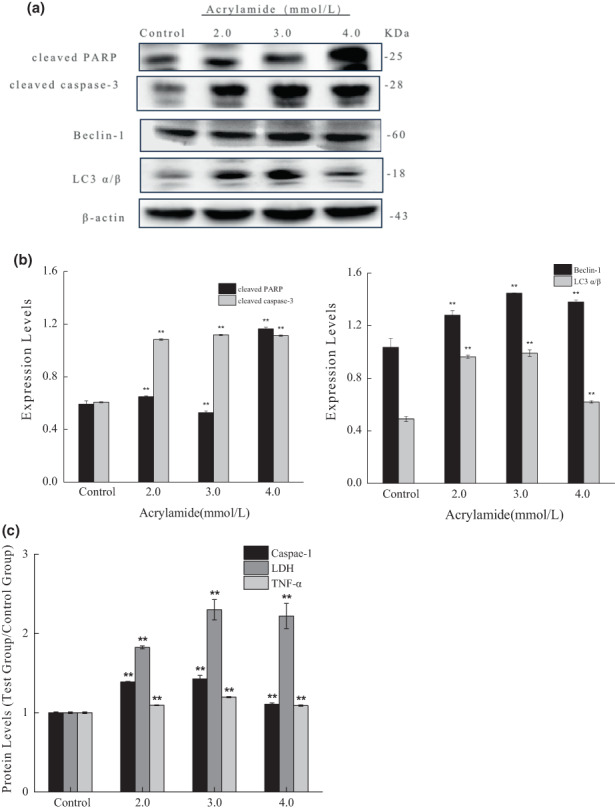 FIGURE 3