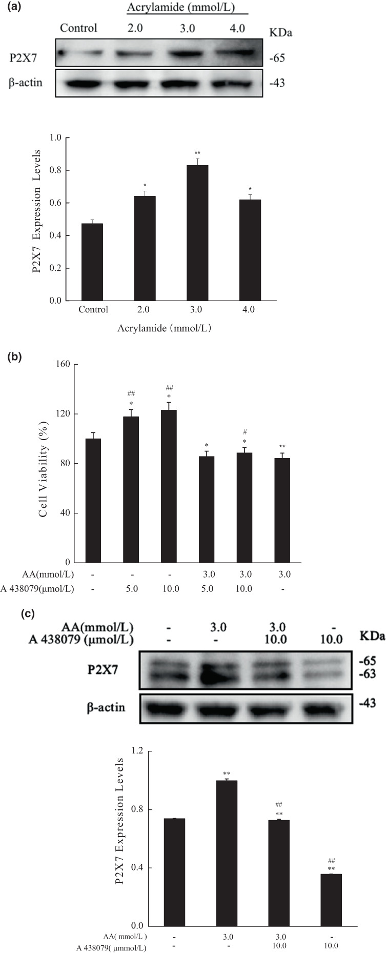 FIGURE 4