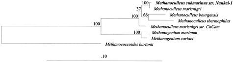 FIG. 2.