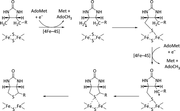 Scheme 1