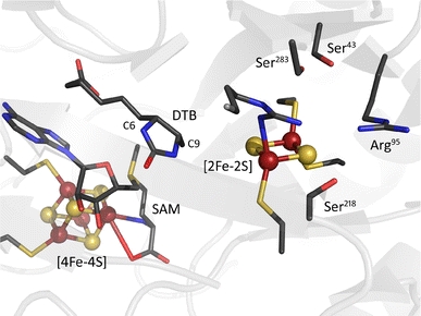 Fig. 1