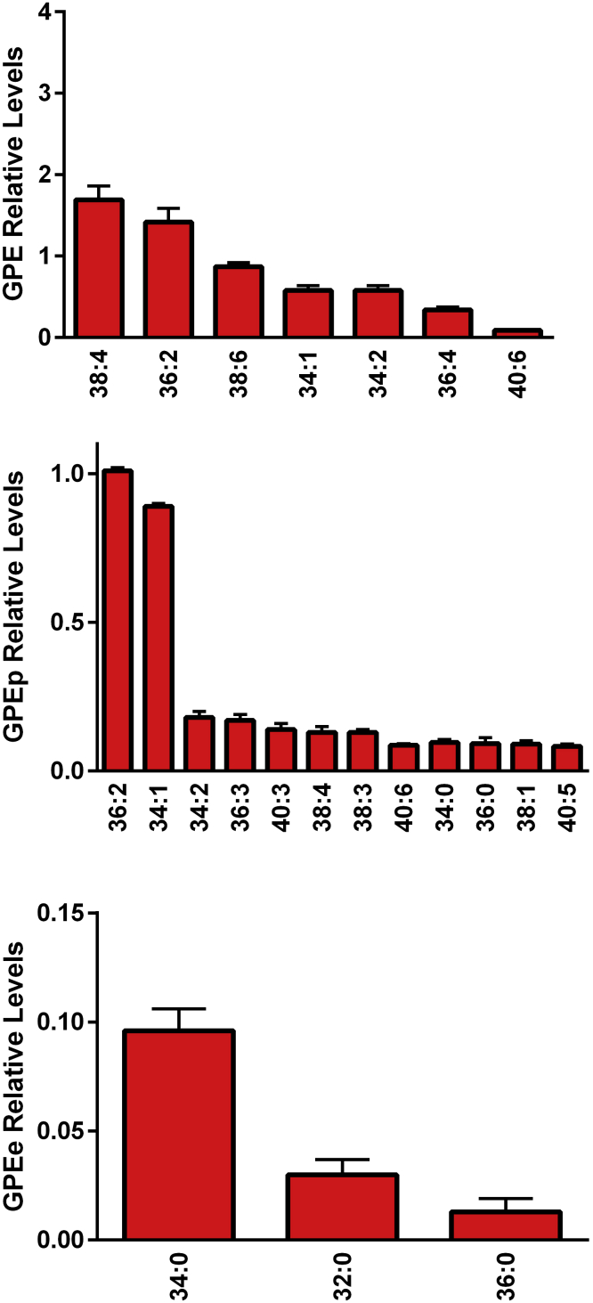 Figure 3