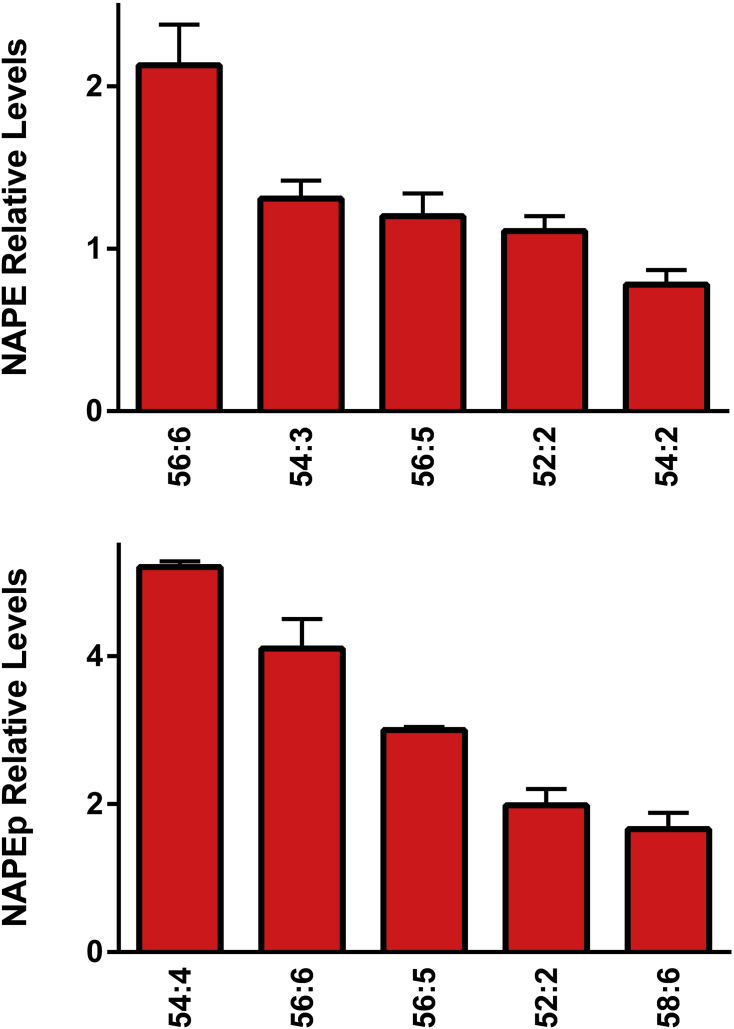 Figure 6