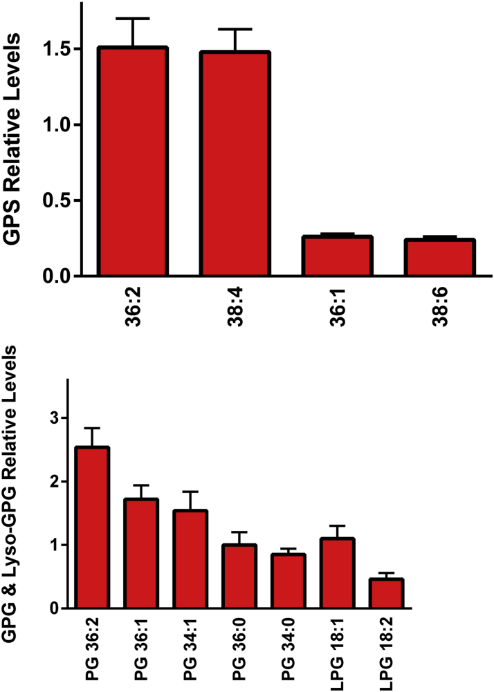 Figure 5