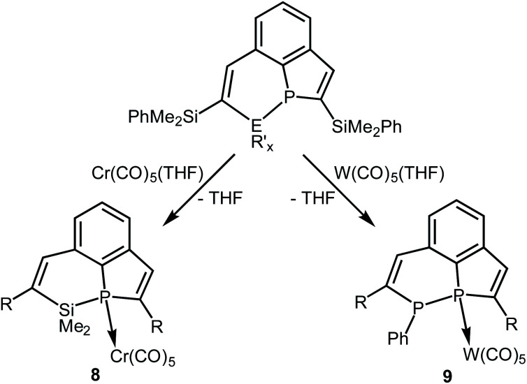 Scheme 5