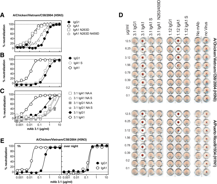 Figure 2