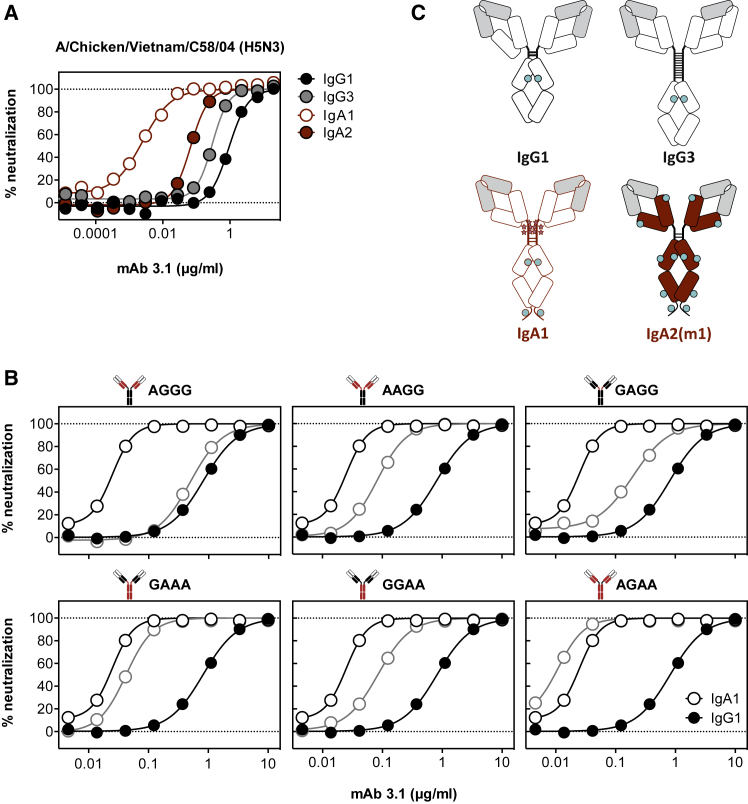 Figure 1