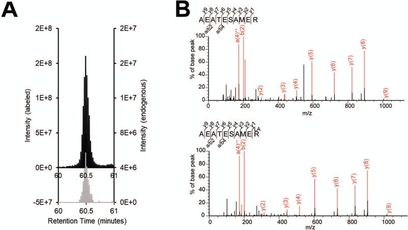 Figure 3: