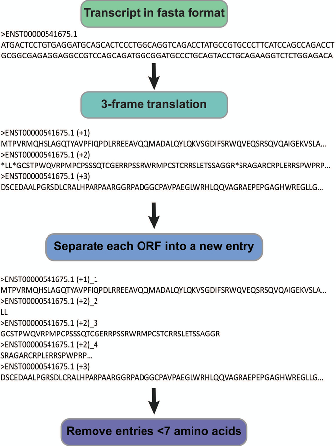 Figure 2: