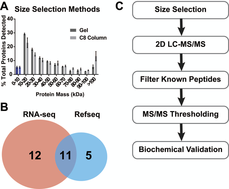 Figure 1: