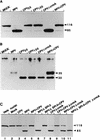 FIG. 9