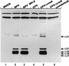 FIG. 6