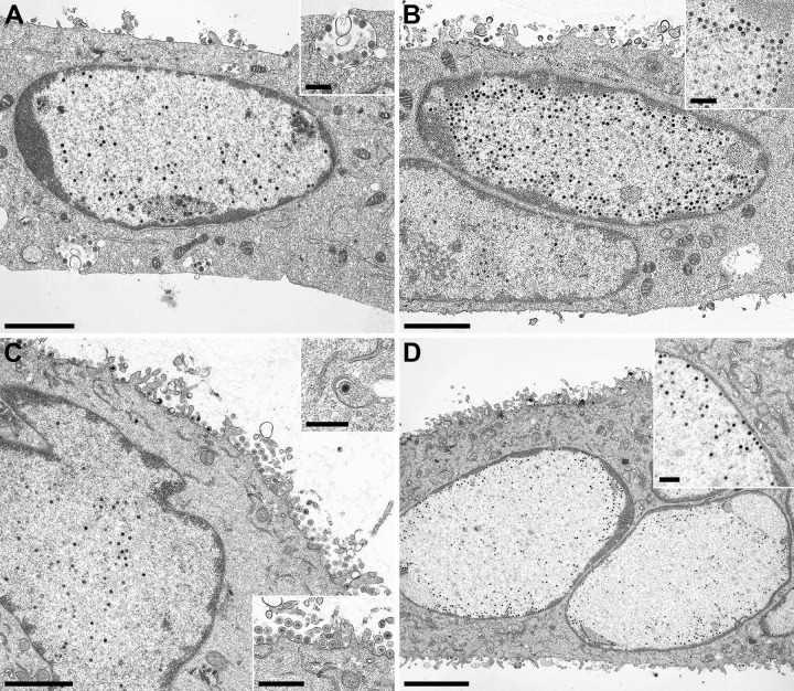 FIG 6