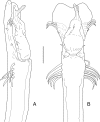 Fig 5