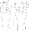 Fig 7