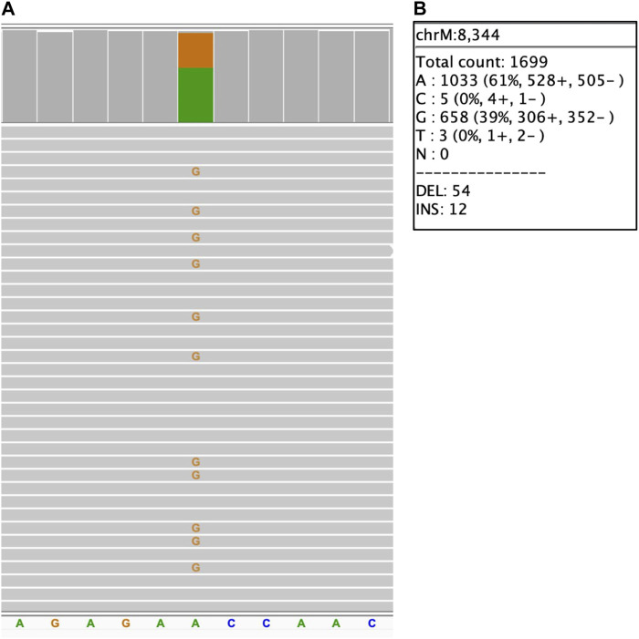 FIGURE 3