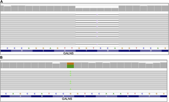 FIGURE 1