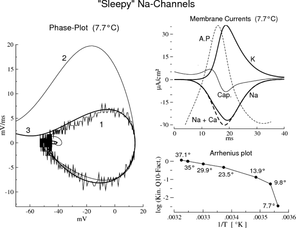 Fig. 10.